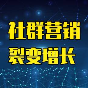 裂變?cè)鲩L(zhǎng)與社群營(yíng)銷(xiāo) 企業(yè)營(yíng)銷(xiāo)策劃實(shí)戰(zhàn)指南